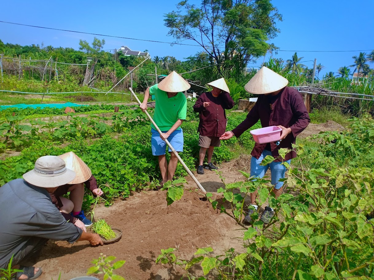 Du khách tham quan vườn rau, tìm hiểu và tham gia trải nghiệm quy trình trồng rau hữu cơ cùng với người nông dân